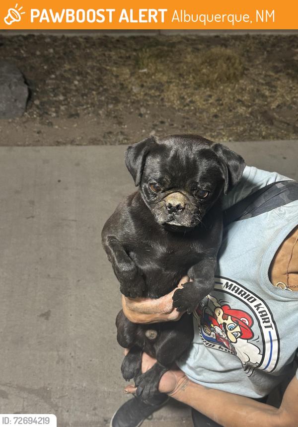 Found/Stray Male Dog last seen Central and old coors, Albuquerque, NM 87105