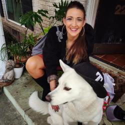 Lost Female Dog last seen Chevron or train platform on Elgin and scott, Houston, TX 77004