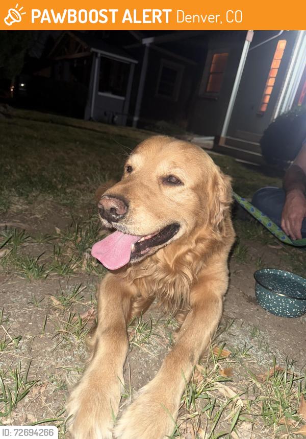 Found/Stray Unknown Dog last seen S downing and Colorado , Denver, CO 80210