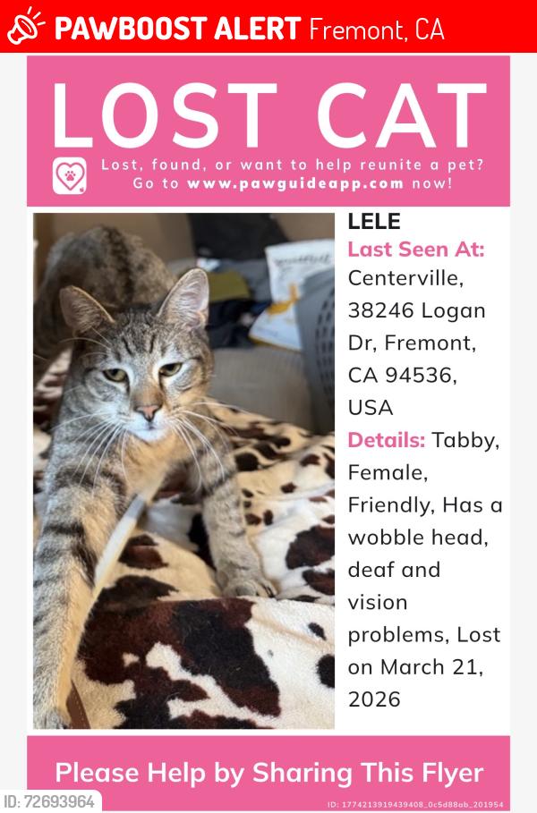 Lost Female Cat last seen Logan Park apmt, by Logan Dr and Mattos Dr/ Eggers Drive, Fremont, CA 94536
