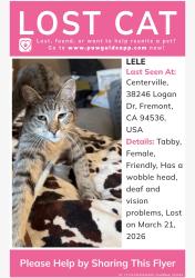 Lost Female Cat last seen Logan Park apmt, by Logan Dr and Mattos Dr/ Eggers Drive, Fremont, CA 94536