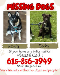 Lost Female Dog last seen Franklin/Leipers fork, tn, Franklin, TN 37064