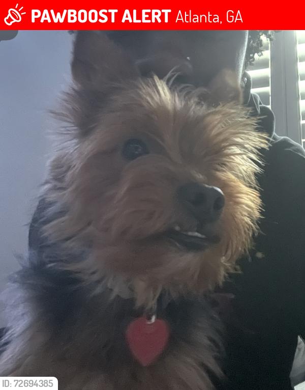Lost Male Dog last seen Near little Hampton ct se near Popeyes , Atlanta, GA 30354