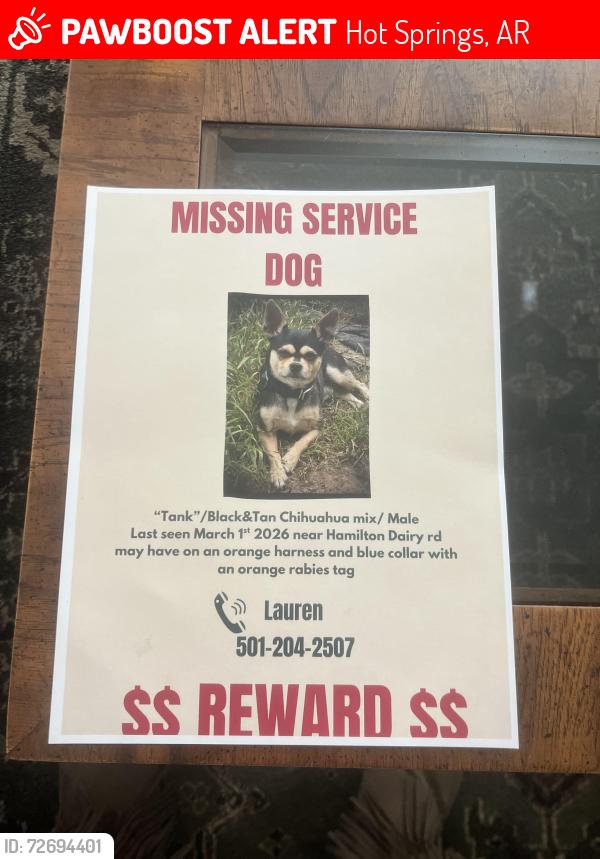 Lost Male Dog last seen Hamilton dairy rd , Hot Springs, AR 71909