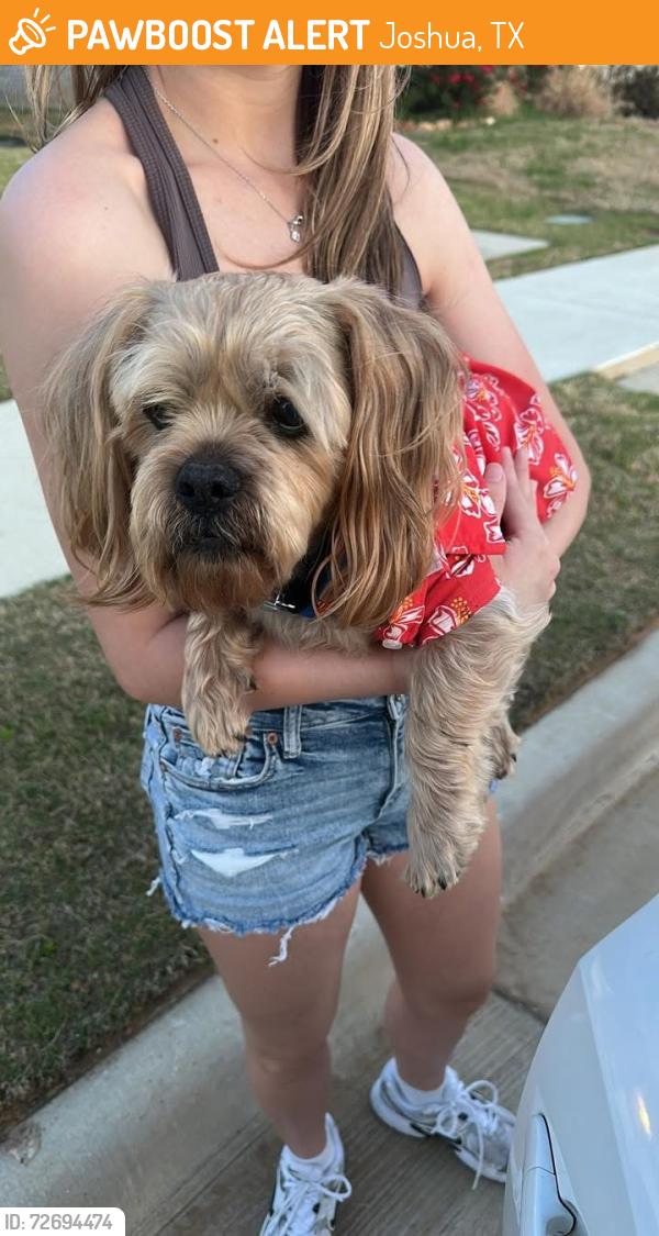 Found/Stray Male Dog last seen Stadium Dr Joshua TX, Joshua, TX 76058