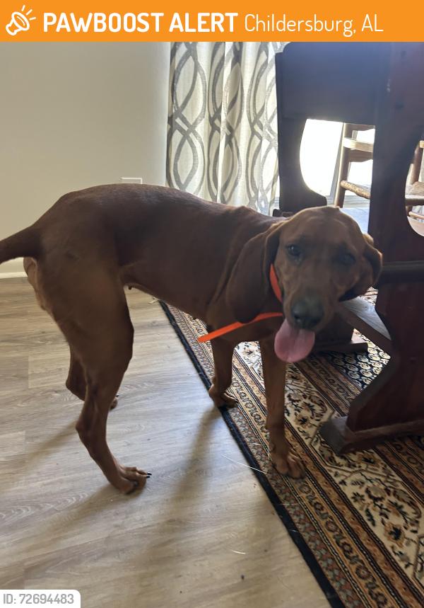 Found/Stray Female Dog last seen Mile 48 on 280, Childersburg, AL 35044