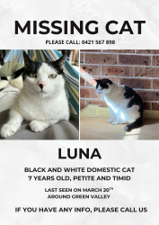 Lost Female Cat last seen Green Valley, Green Valley, NSW 2168