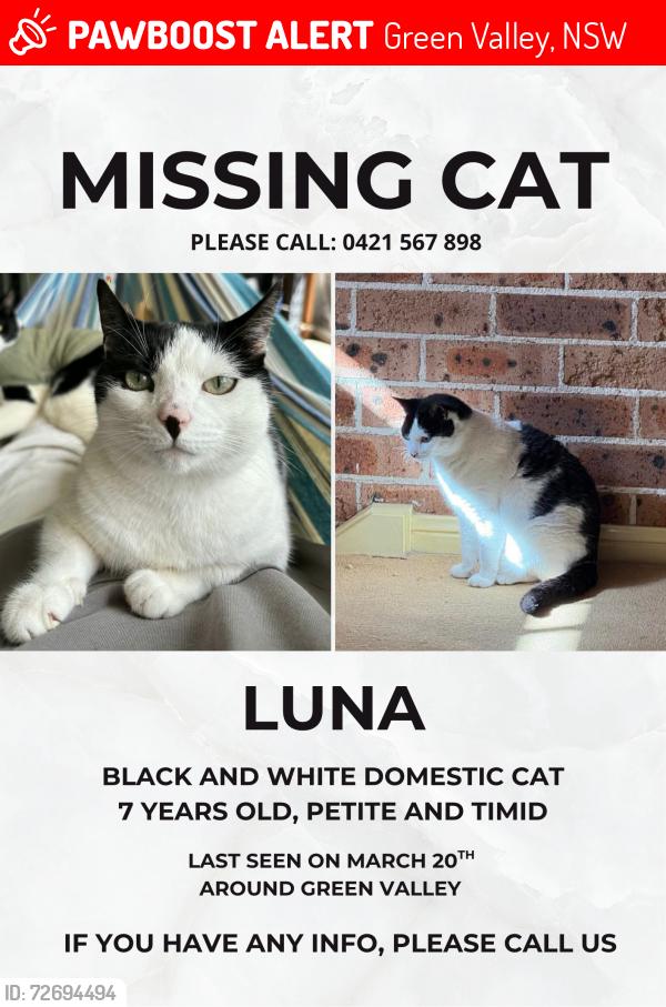 Lost Female Cat last seen Green Valley, Green Valley, NSW 2168