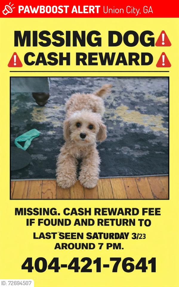 Lost Female Dog last seen Flatshoals, Union City, GA 30291