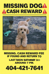 Lost Female Dog last seen Flatshoals, Union City, GA 30291