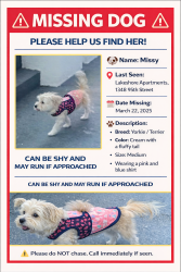 Lost Female Dog last seen 17th Ave , Miami, FL 33147