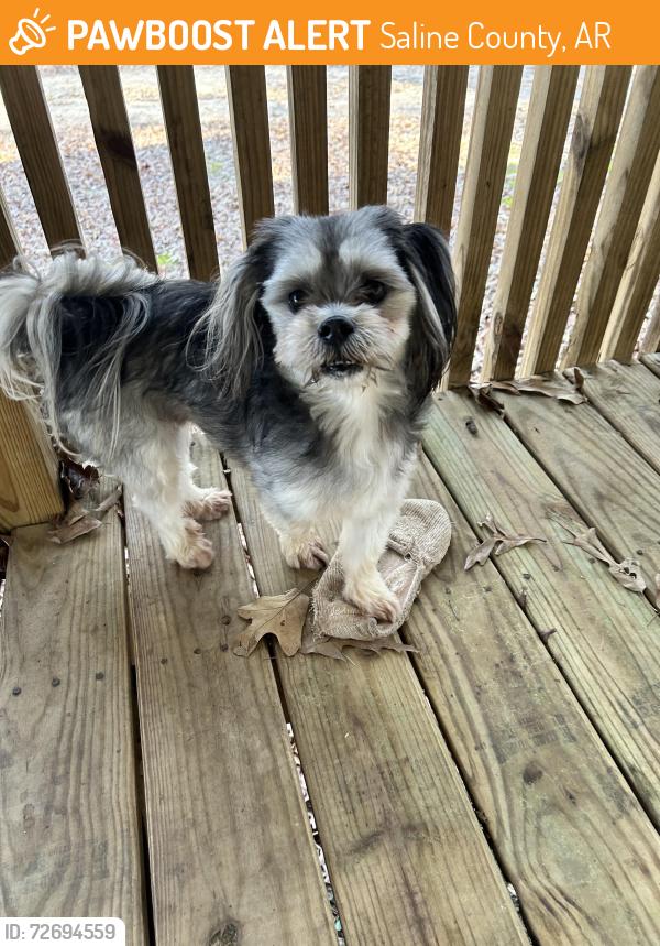 Found/Stray Male Dog last seen Mars hill road , Saline County, AR 72011