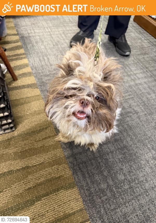 Found/Stray Unknown Dog last seen 62st/lynn ln, Broken Arrow, OK 74012