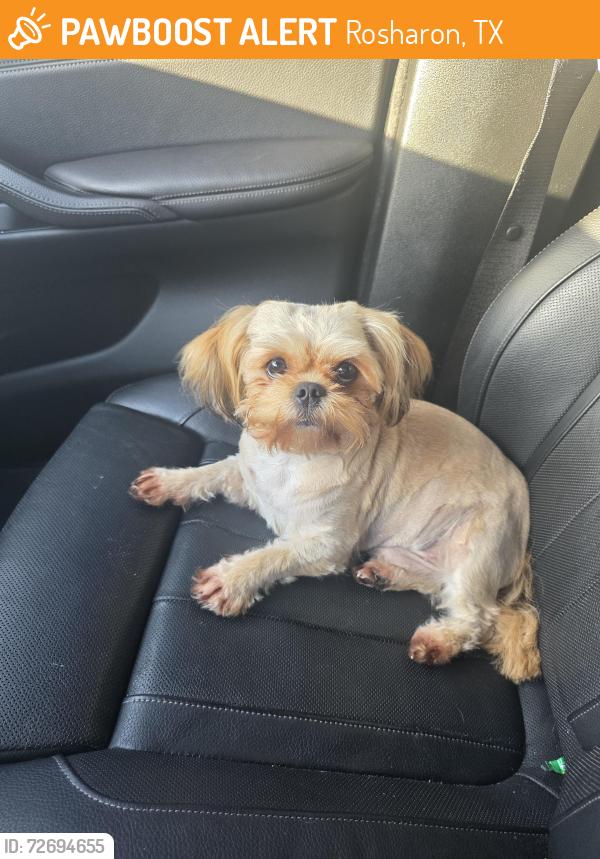 Found/Stray Male Dog last seen Highway 6, Rosharon, TX 77583