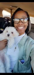 Lost Female Dog last seen S Loomis St and S Archer Ave, Chicago, IL 60608