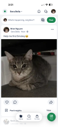 Lost Female Cat last seen Kissimmee, Kissimmee, FL 32824
