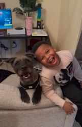 Lost Male Dog last seen Vaughn Rd/ Eastern BLVD, Montgomery, AL 36104