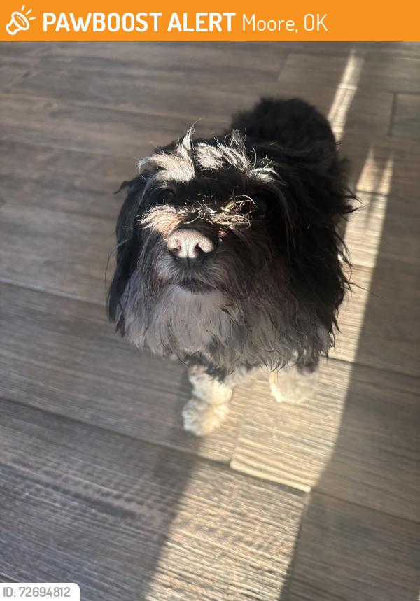 Found/Stray Female Dog last seen Near Woods Way, Moore, OK 73160