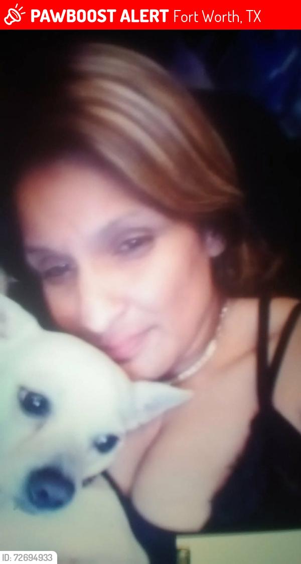 Lost Female Dog last seen Near Michael st, Fort Worth, TX 76106