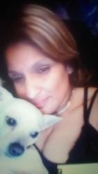 Lost Female Dog last seen Near Michael st, Fort Worth, TX 76106