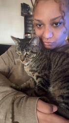 Lost Male Cat last seen Coweta County Fairgrounds, Concrete Plant, Grantville, GA 30220
