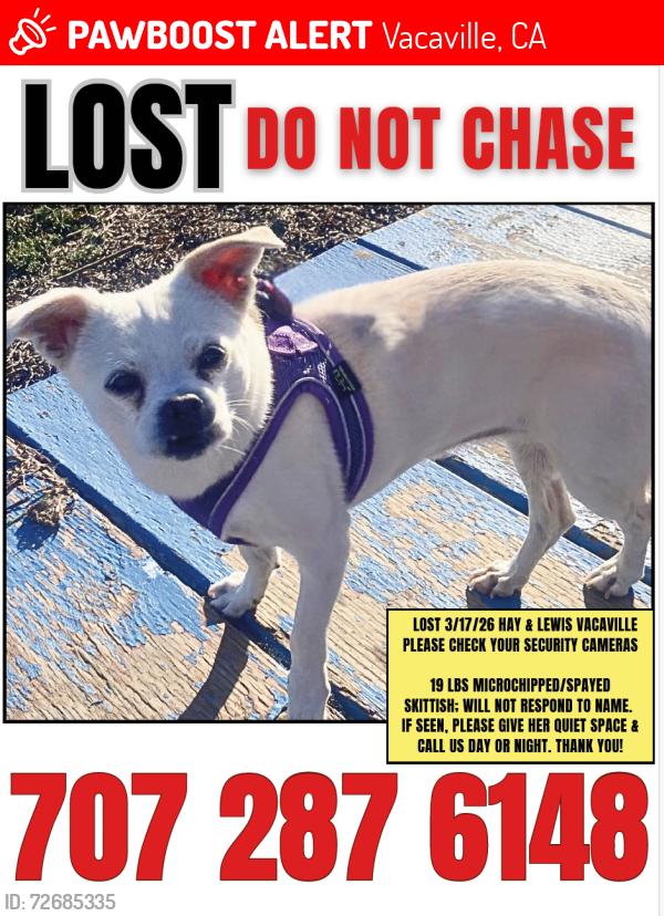 Lost Female Dog last seen Meridian and Fry roads, Vacaville, CA 95687