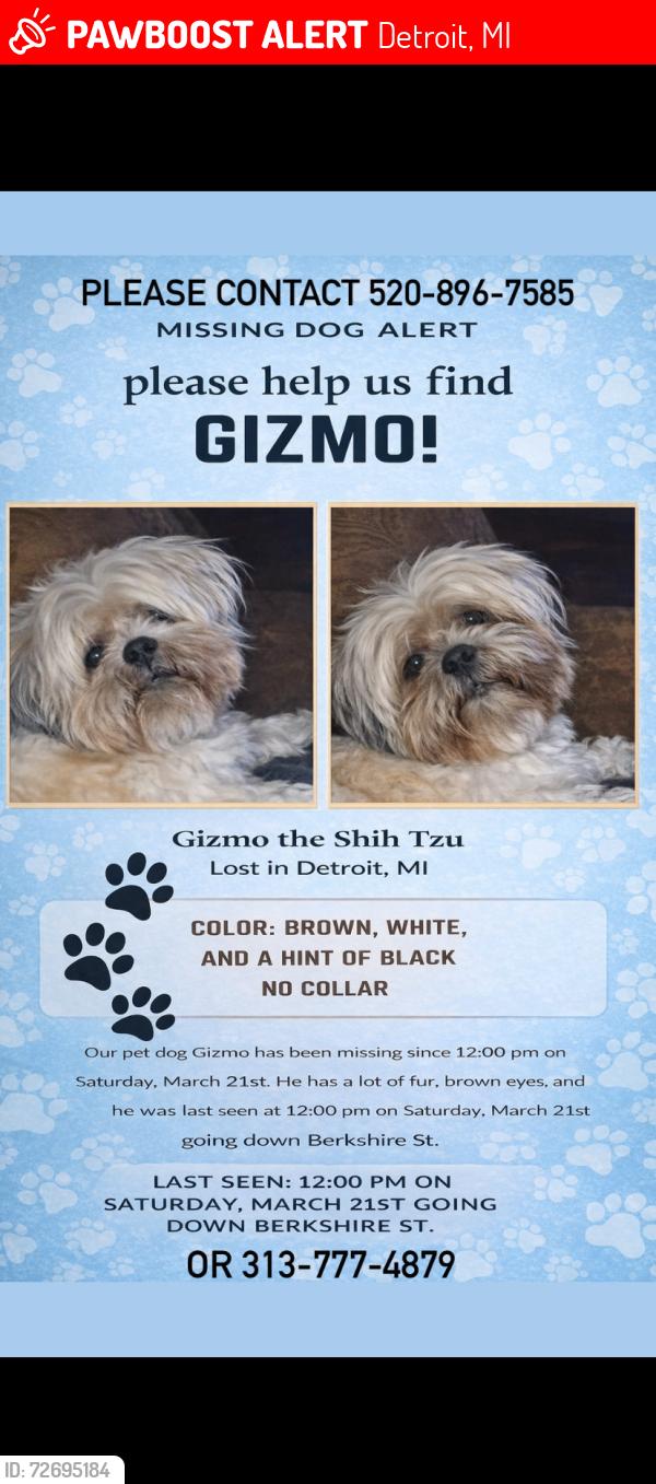 Lost Male Dog last seen Berkshire & cornwall , Detroit, MI 48224