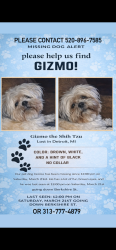 Lost Male Dog last seen Berkshire & cornwall , Detroit, MI 48224