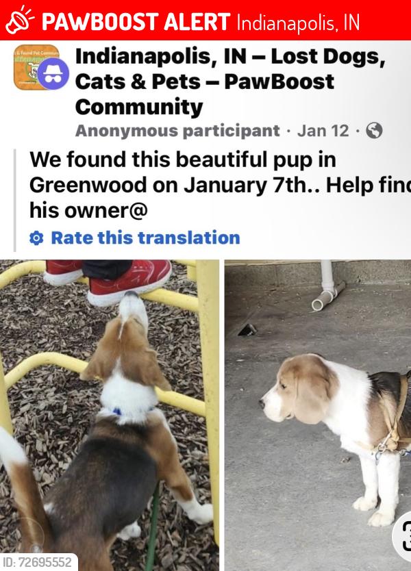 Lost Male Dog last seen Greenwood IN /  Indpls , Indianapolis, IN 46237