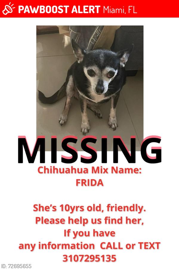 Lost Female Dog last seen Near nw 80th street, Miami, FL 33150