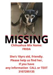 Lost Female Dog last seen Near nw 80th street, Miami, FL 33150