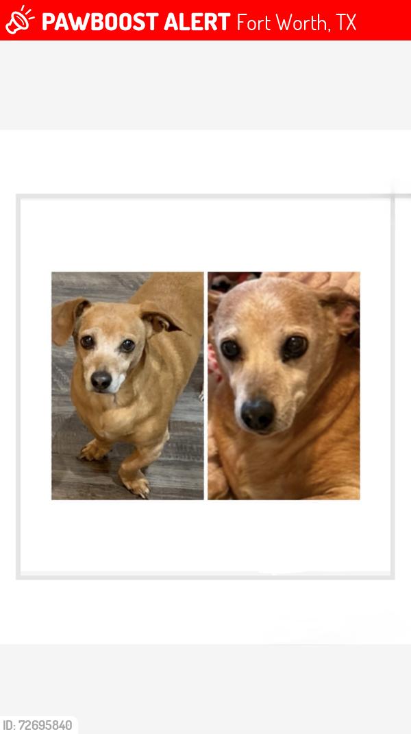 Lost Male Dog last seen Starboardway Dr and Sky Meadows Dr, Fort Worth, TX 76135