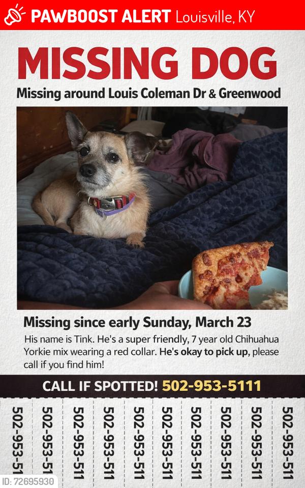 Lost Male Dog last seen Louis Coleman Jr Dr, Louisville, KY 40211