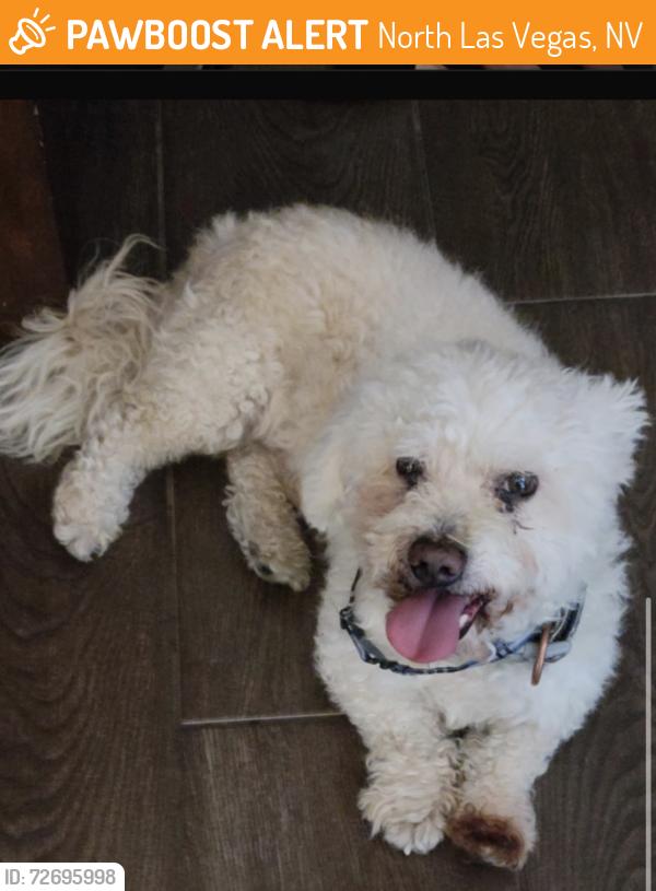 Found/Stray Male Dog last seen simmons and gowan, North Las Vegas, NV 89032