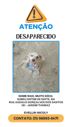 Lost Male Dog last seen Perto do sonda, Jardim Thomaz, SP 05833-040