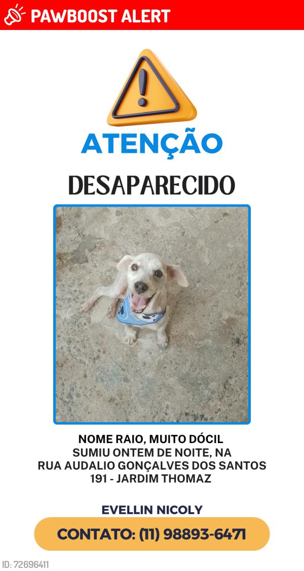 Lost Male Dog last seen Perto do sonda, Jardim Thomaz, SP 05833-040