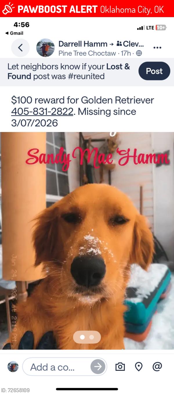 Lost Female Dog last seen 89th and Triple X , Oklahoma City, OK 73020