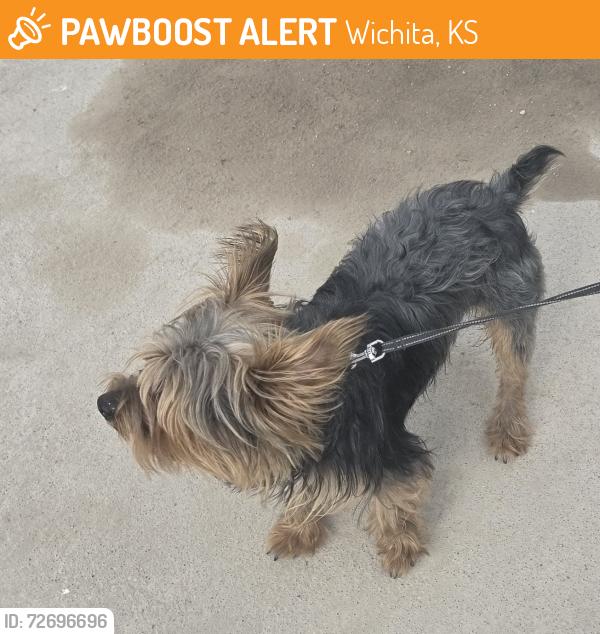 Found/Stray Unknown Dog last seen 29th St N and Arkansas , Wichita, KS 67204