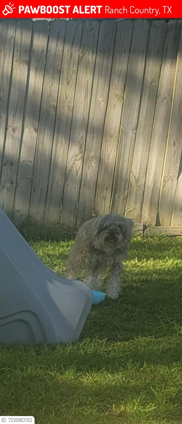 Lost Male Dog last seen Anchor ranch dr. , Ranch Country, TX 77447