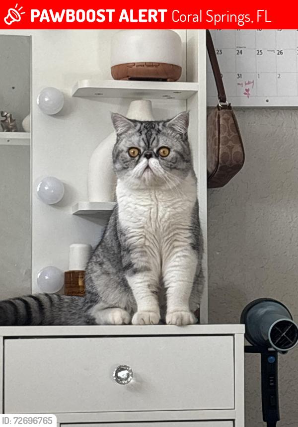 Lost Male Cat last seen 110th Ave, Coral Springs, FL 33065