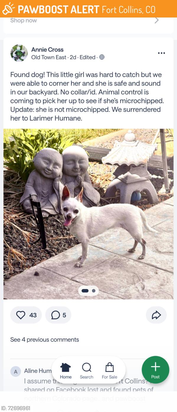 Found/Stray Female Dog last seen Noco humane society , Fort Collins, CO 80524