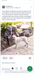 Found/Stray Female Dog last seen Noco humane society , Fort Collins, CO 80524