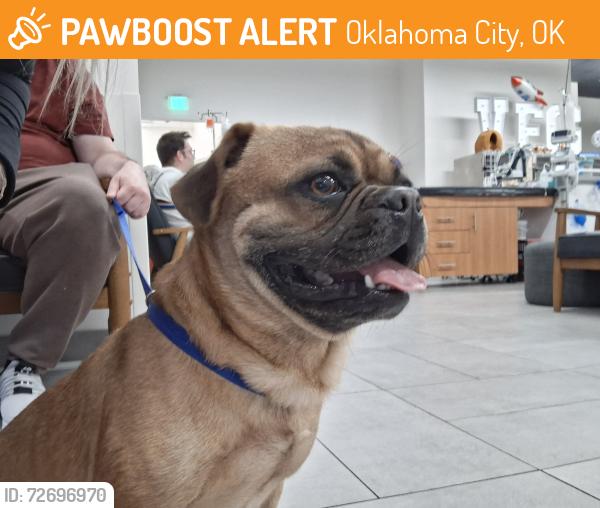 Found/Stray Male Dog last seen Near Woo's Wings, Oklahoma City, OK 73111