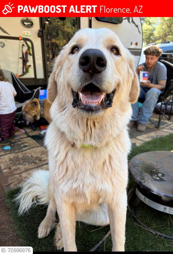 Lost Male Dog last seen State route 79 & Diversion Dam Road, Florence, AZ 85132