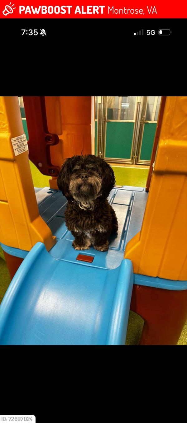 Lost Male Dog last seen Between Eanes Ln and Montpelier, Montrose, VA 23231