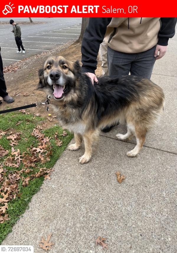 Lost Unknown Dog last seen West Salem High School , Salem, OR 97304
