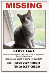 Lost Male Cat last seen Villa park dr, Austin, TX 78729