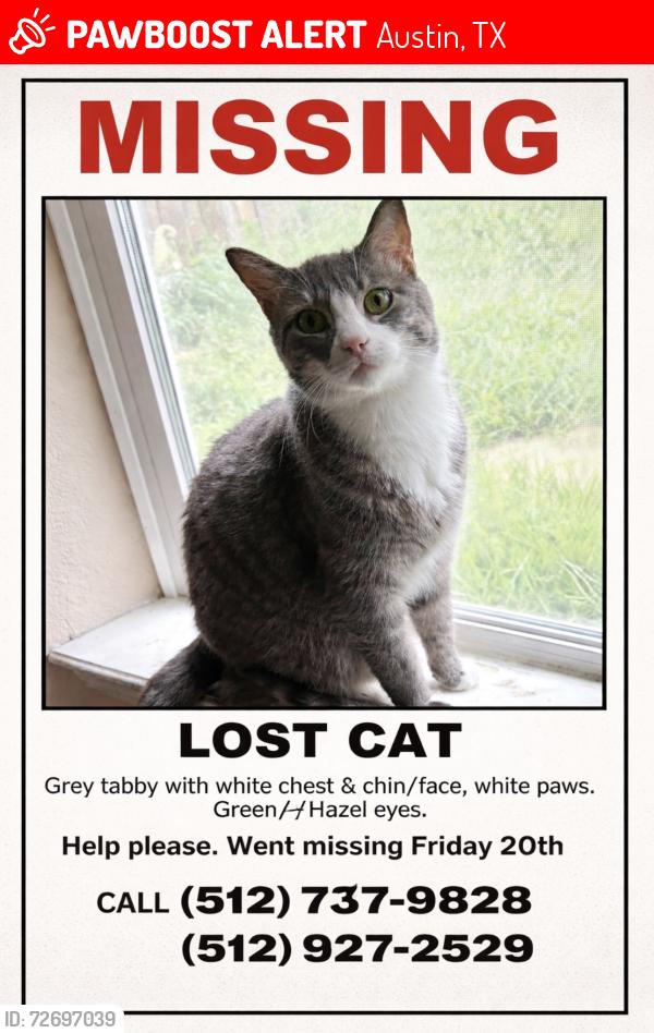 Lost Male Cat last seen Villa park dr, Austin, TX 78729