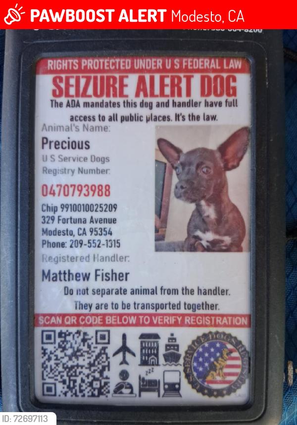 Lost Female Dog last seen Near scenic dr, Modesto, CA 95355
