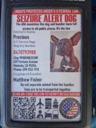 Lost Female Dog last seen Near scenic dr, Modesto, CA 95355